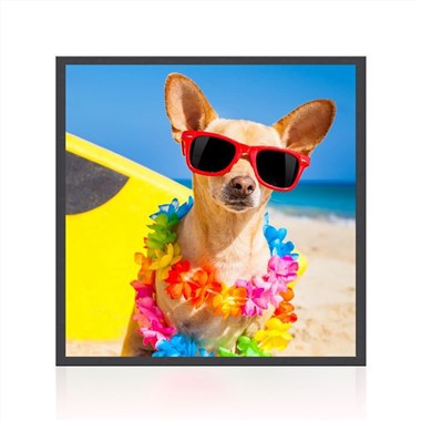 22-inčni kvadratni LCD IPS zaslon Monitor Digital Signage za prikaz fotografija